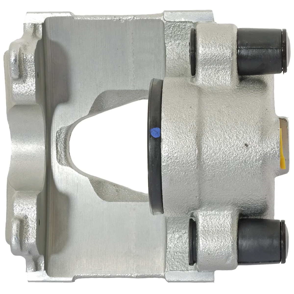 Jarrusatula sopii Opel