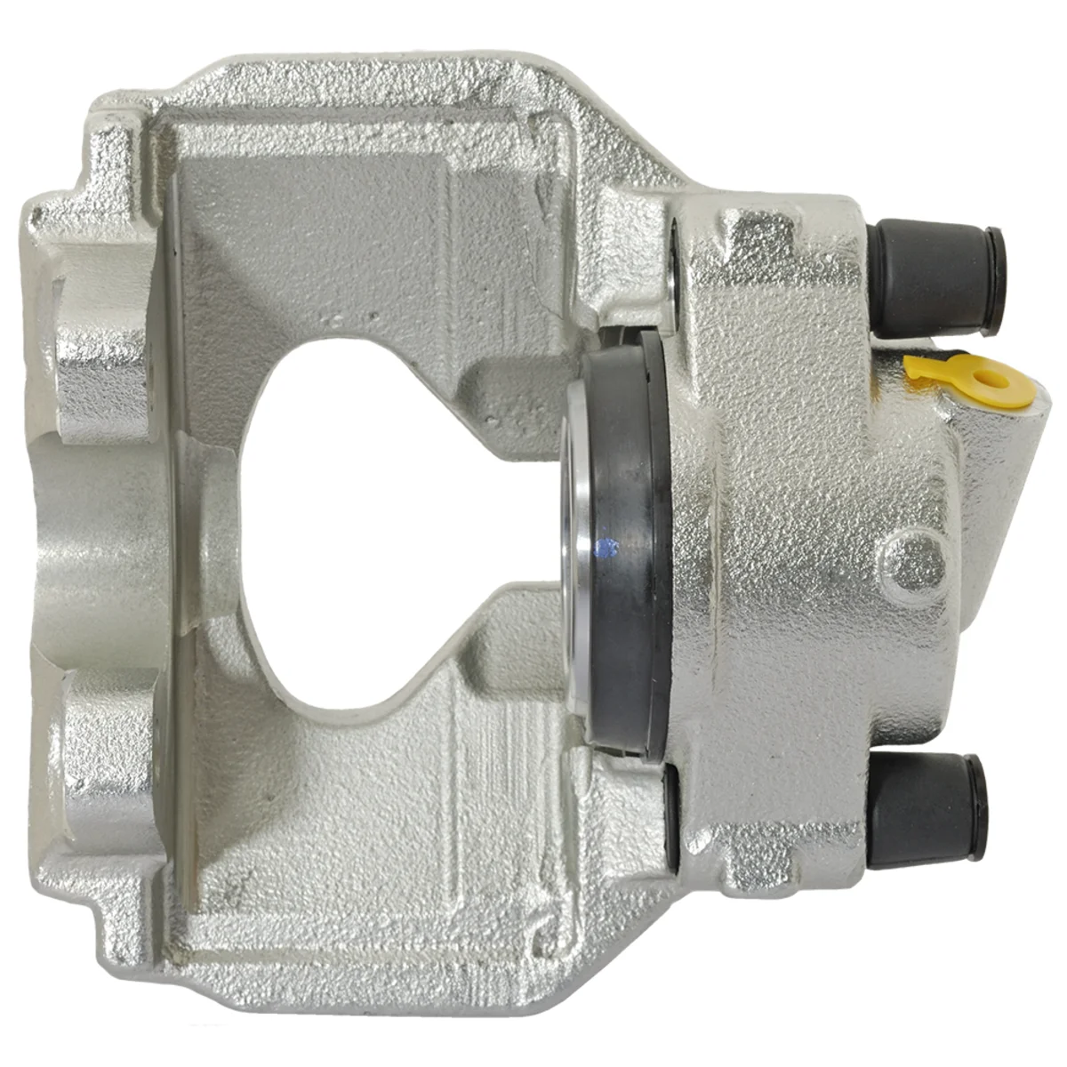 Jarrusatula sopii VW