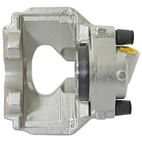 Jarrusatula sopii VW