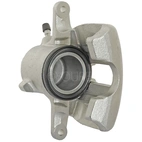 Jarrusatula sopii Citroen