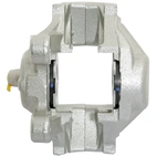 Jarrusatula sopii Mercedes