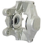 Jarrusatula sopii Mercedes