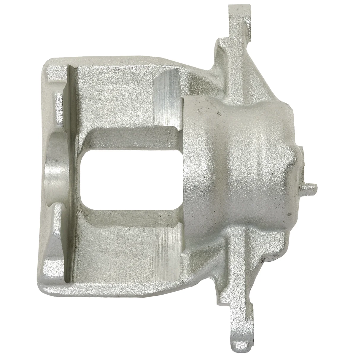 Jarrusatula sopii Honda