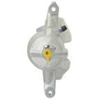 Jarrusatula sopii Honda