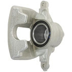 Jarrusatula sopii Honda