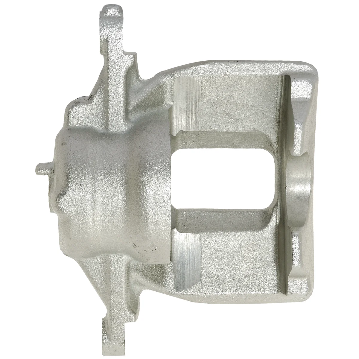 Jarrusatula sopii Honda