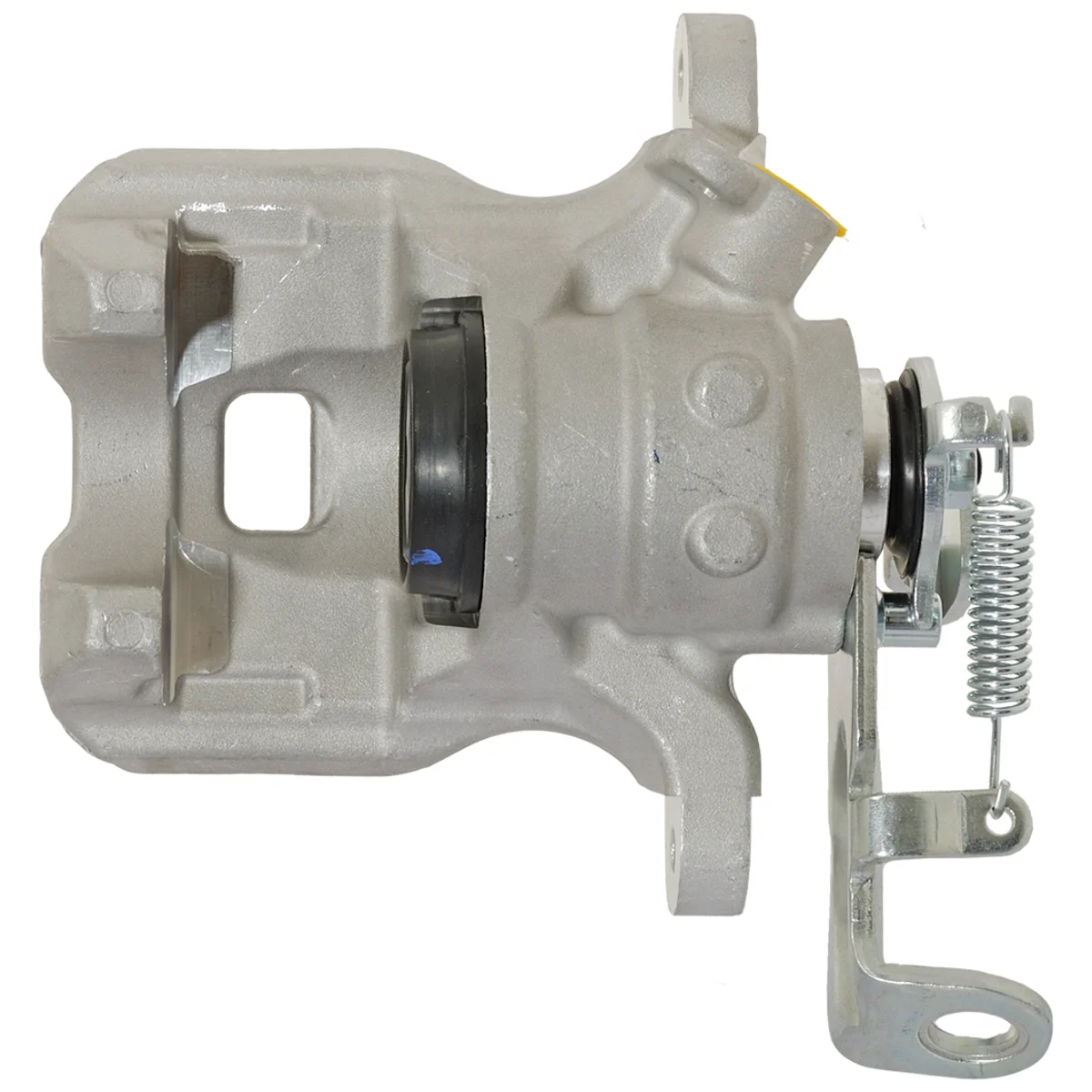 Jarrusatula sopii Mazdalle