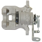 Jarrusatula sopii Mazdalle