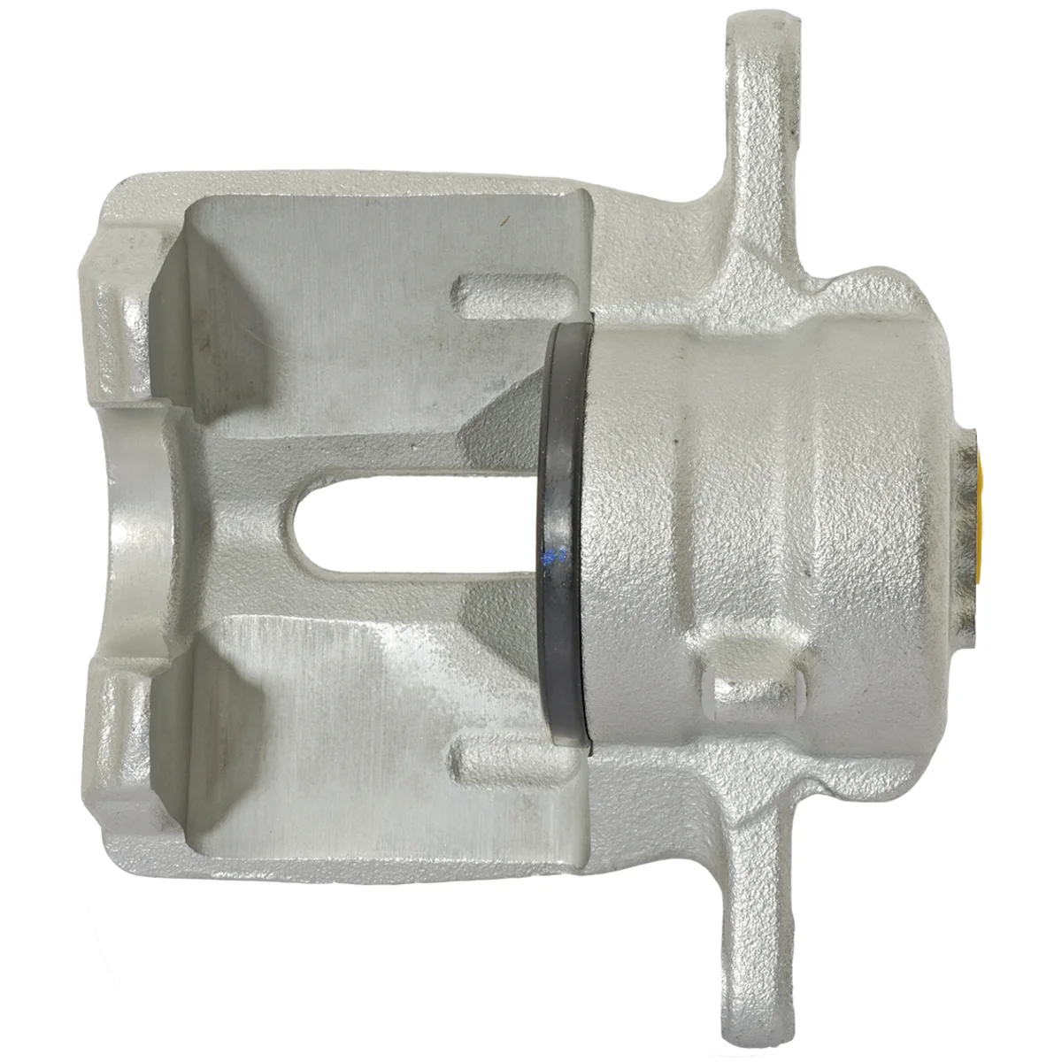 Jarrusatula sopii Kia