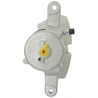 Jarrusatula sopii Kia