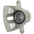 Jarrusatula sopii Kia