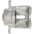 Jarrusatula sopii Kia