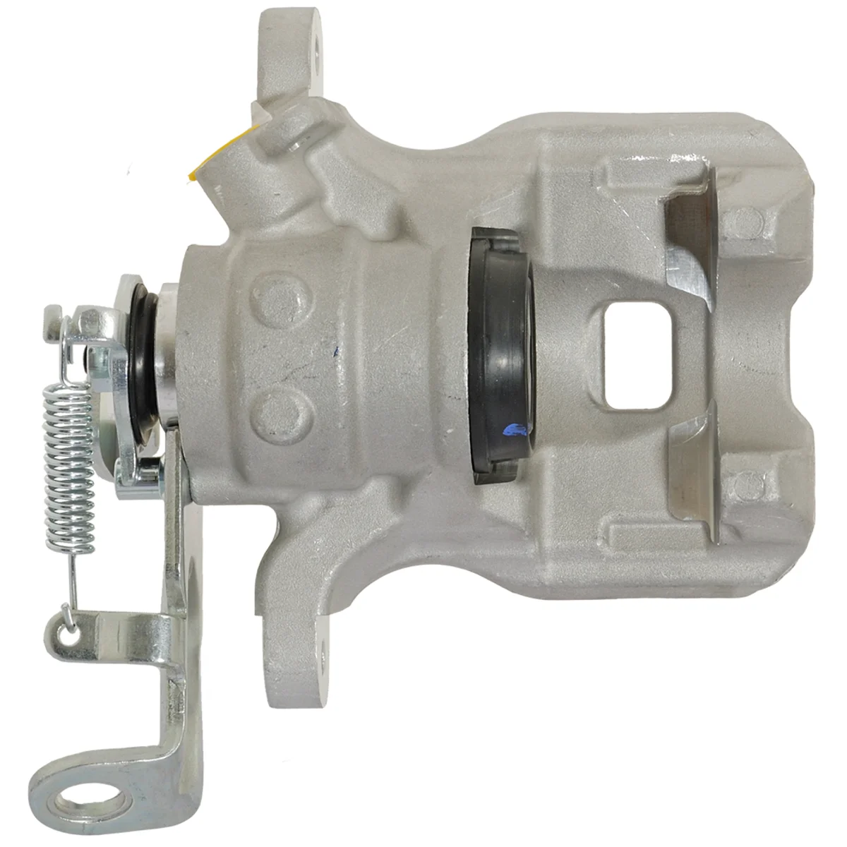 Jarrusatula sopii Mazdalle