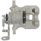 Jarrusatula sopii Mazdalle