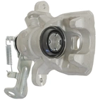 Jarrusatula sopii Mazdalle