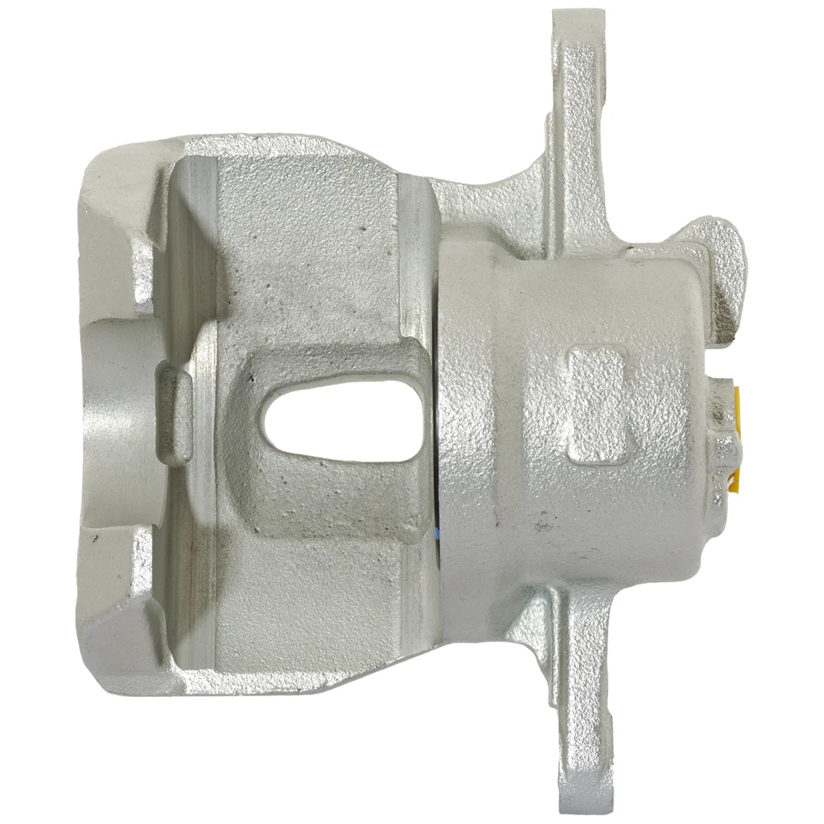 Jarrusatula sopii Toyota