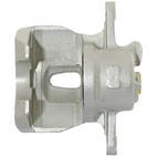 Jarrusatula sopii Toyota