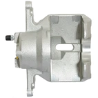 Jarrusatula sopii Mazdalle