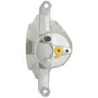 Jarrusatula sopii Mazdalle