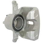 Jarrusatula sopii Mazdalle