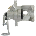 Jarrusatula sopii Mazdalle