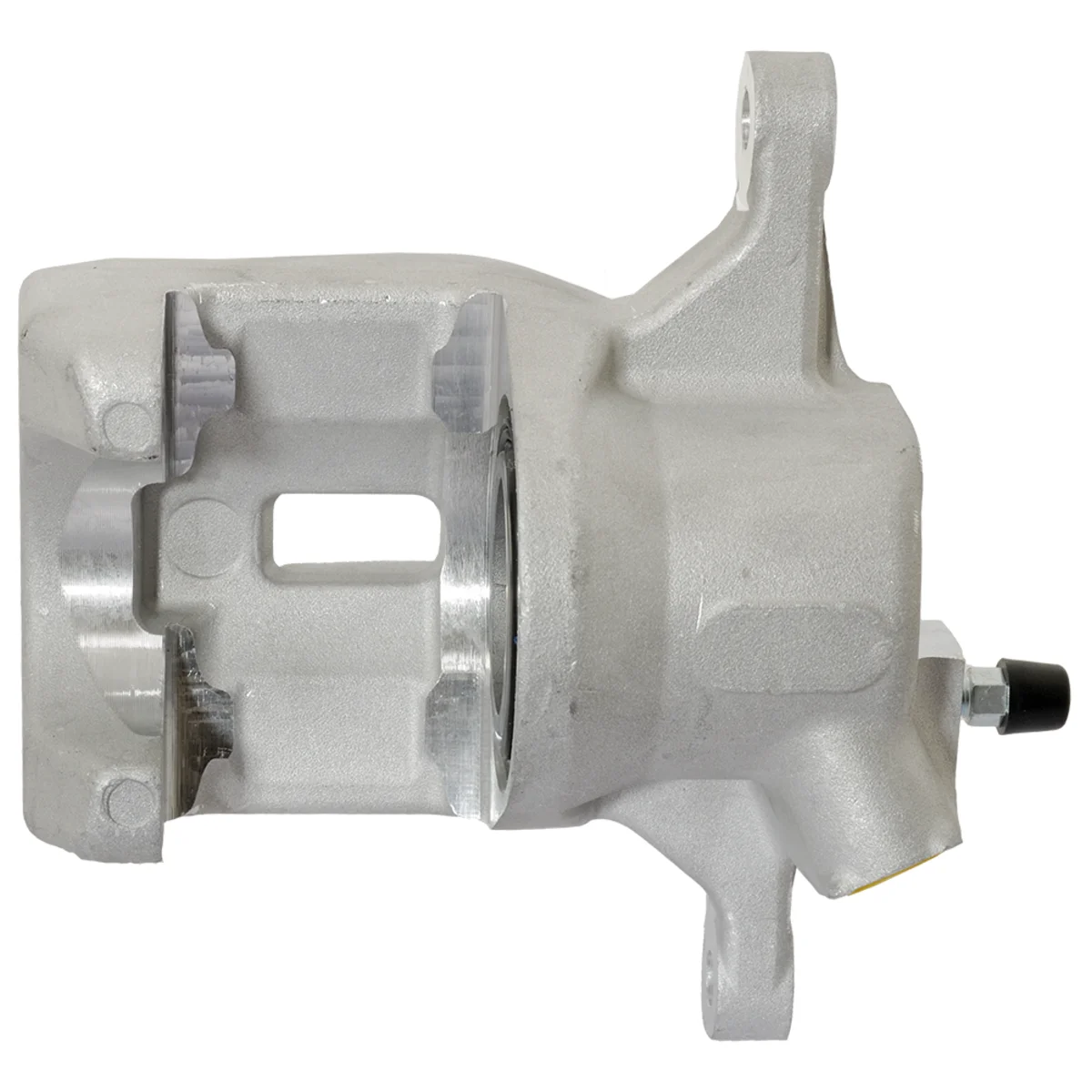 Jarrusatula sopii Toyota