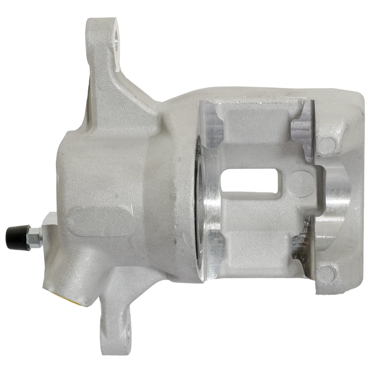 Jarrusatula sopii Toyota