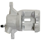 Jarrusatula sopii Toyota