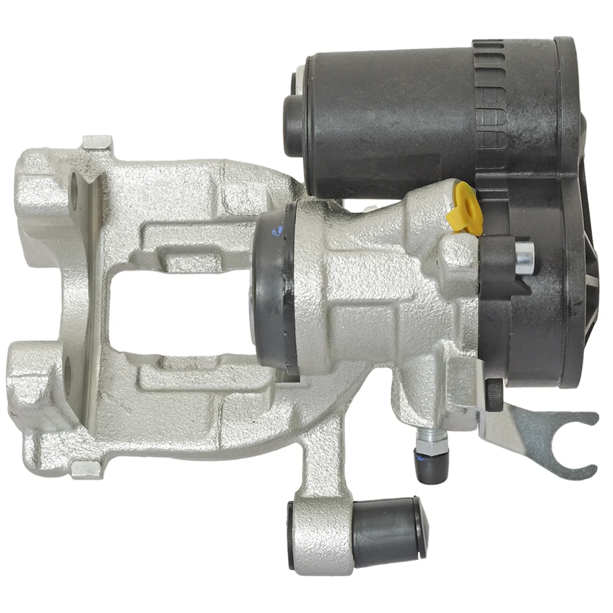 Jarrusatula sopii BMW