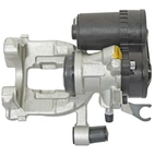 Jarrusatula sopii BMW