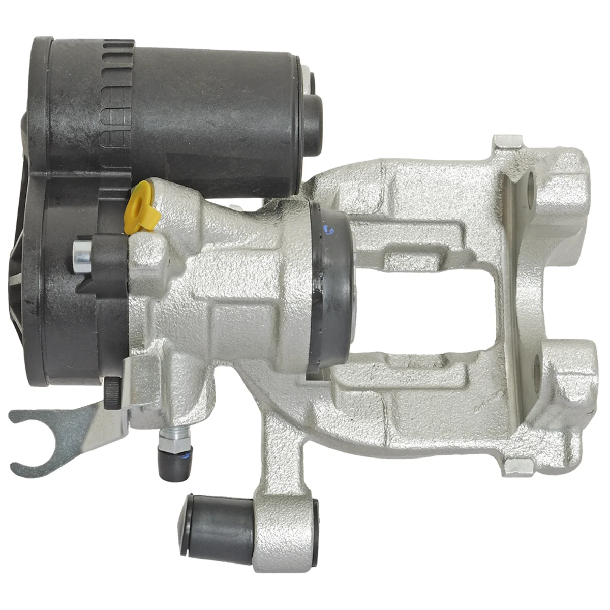 Jarrusatula sopii BMW