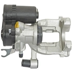 Jarrusatula sopii BMW