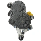 Jarrusatula sopii BMW