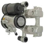 Jarrusatula sopii BMW