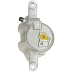 Jarrusatula sopii Toyota