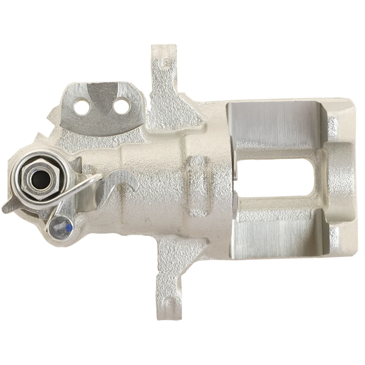 Jarrusatula sopii Fiat