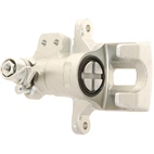 Jarrusatula sopii Fiat