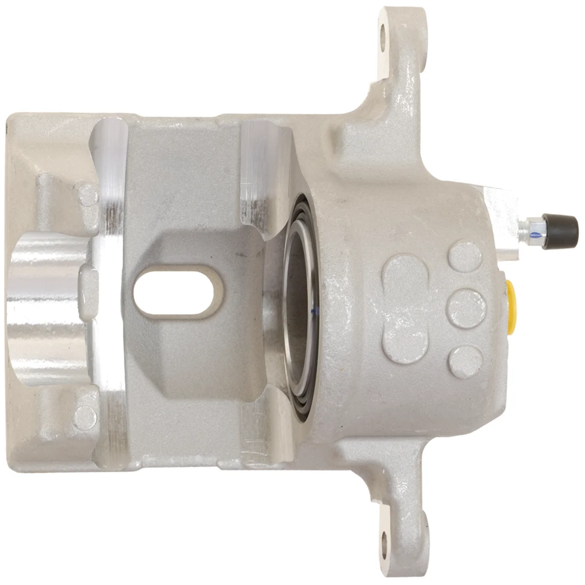 Jarrusatula sopii Toyota