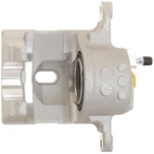 Jarrusatula sopii Toyota