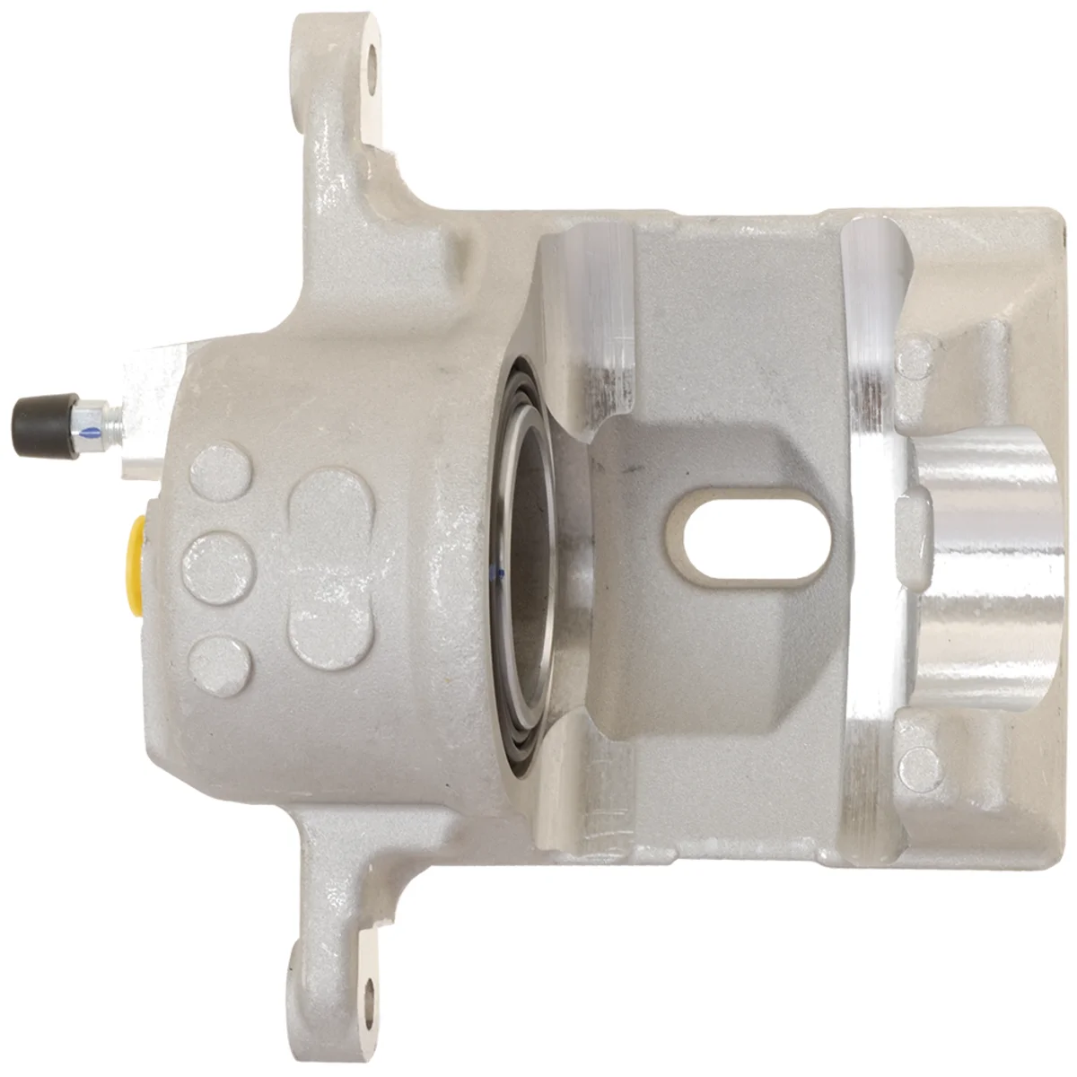 Jarrusatula sopii Toyota