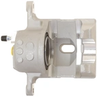 Jarrusatula sopii Toyota