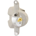 Jarrusatula sopii Toyota