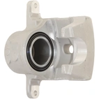 Jarrusatula sopii Toyota