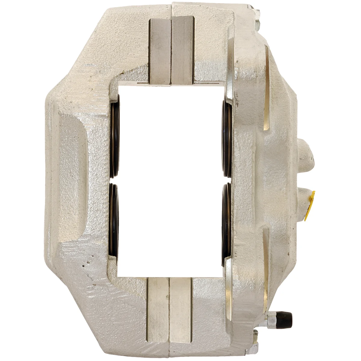 Jarrusatula sopii Toyota