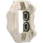 Jarrusatula sopii Toyota