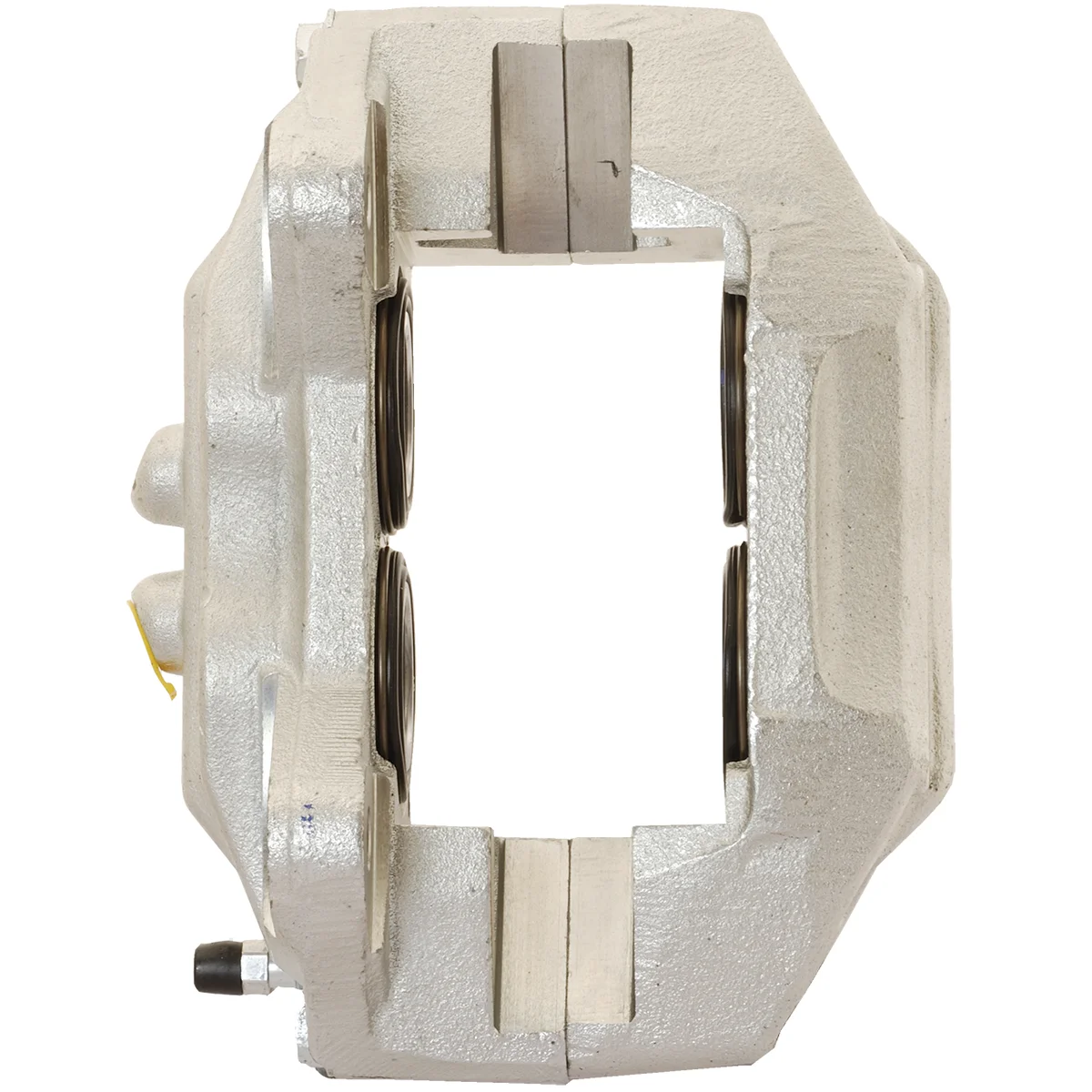 Jarrusatula sopii Toyota