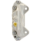 Jarrusatula sopii Toyota