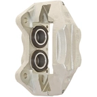 Jarrusatula sopii Toyota