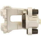 Jarrusatula sopii BMW