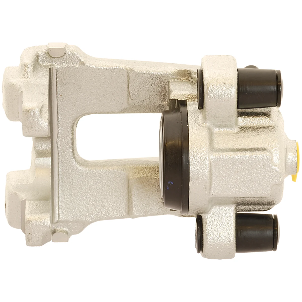 Jarrusatula sopii BMW